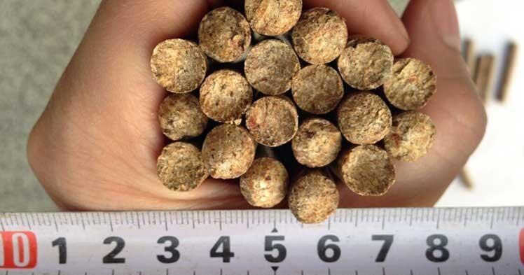 环保生物质成型燃料颗粒机价格